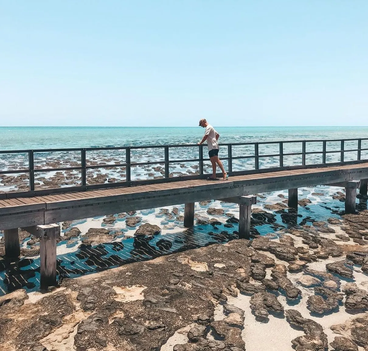 Hamelin Pool