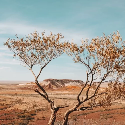Kata Tjuta