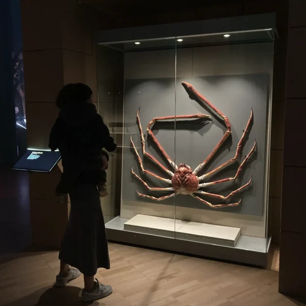 Melbourne Museum