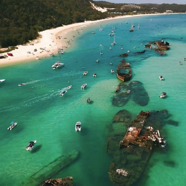 Moreton Bay