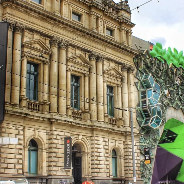 RMIT University