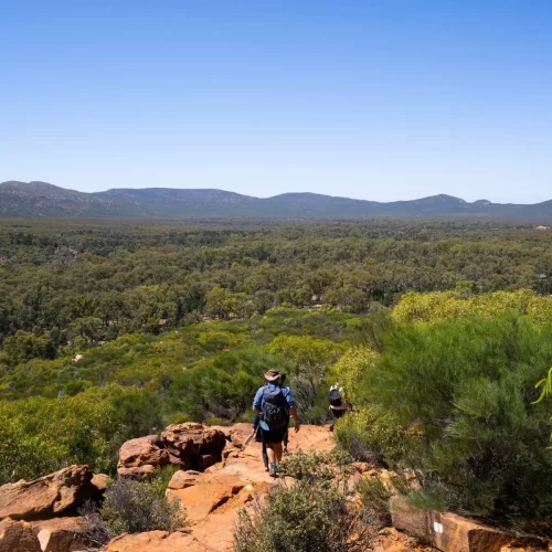 adelai to alice springs tours