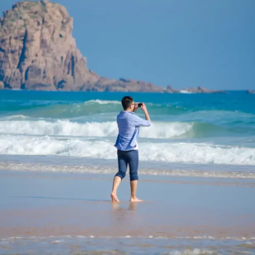 wildlife tours phillip island