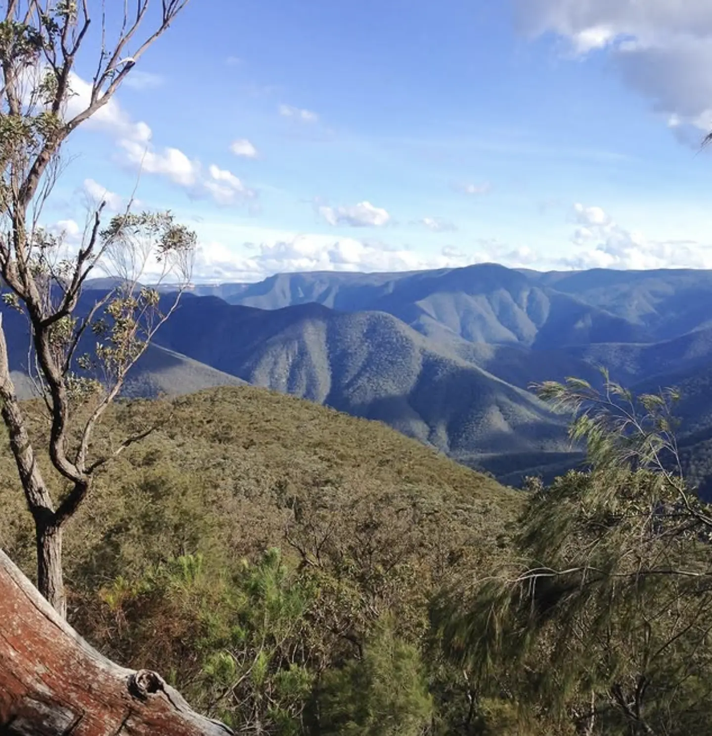 Southern Blue Mountains