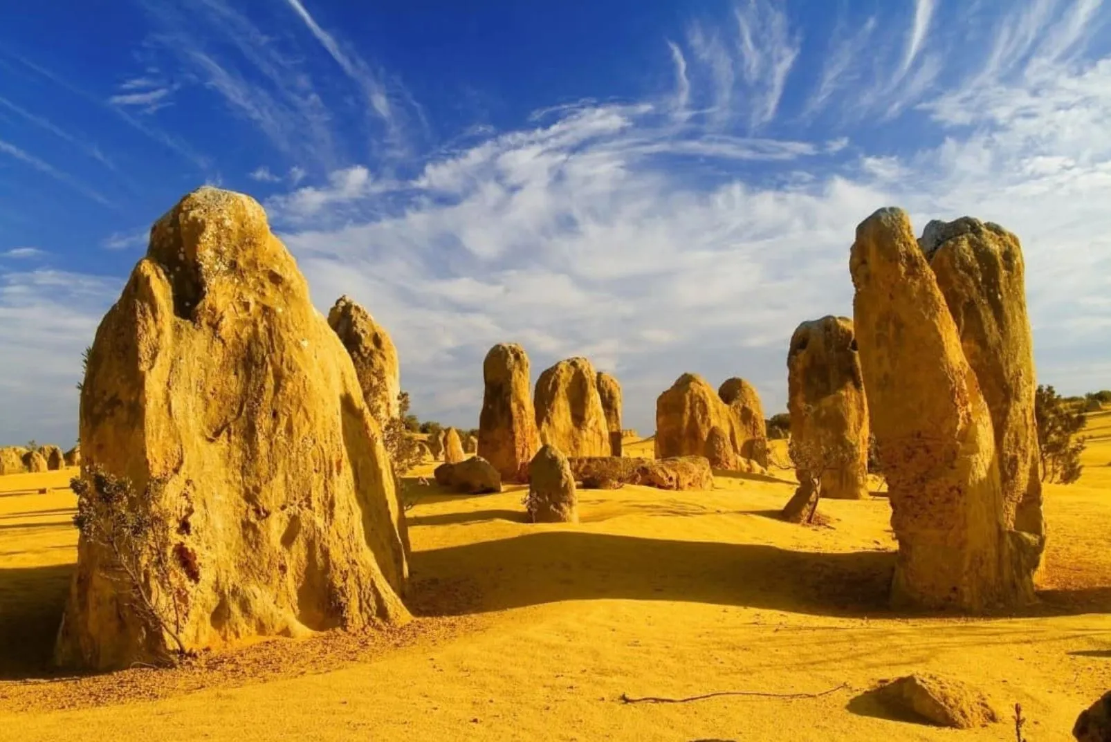 Best Times to See Wildlife in the Pinnacles