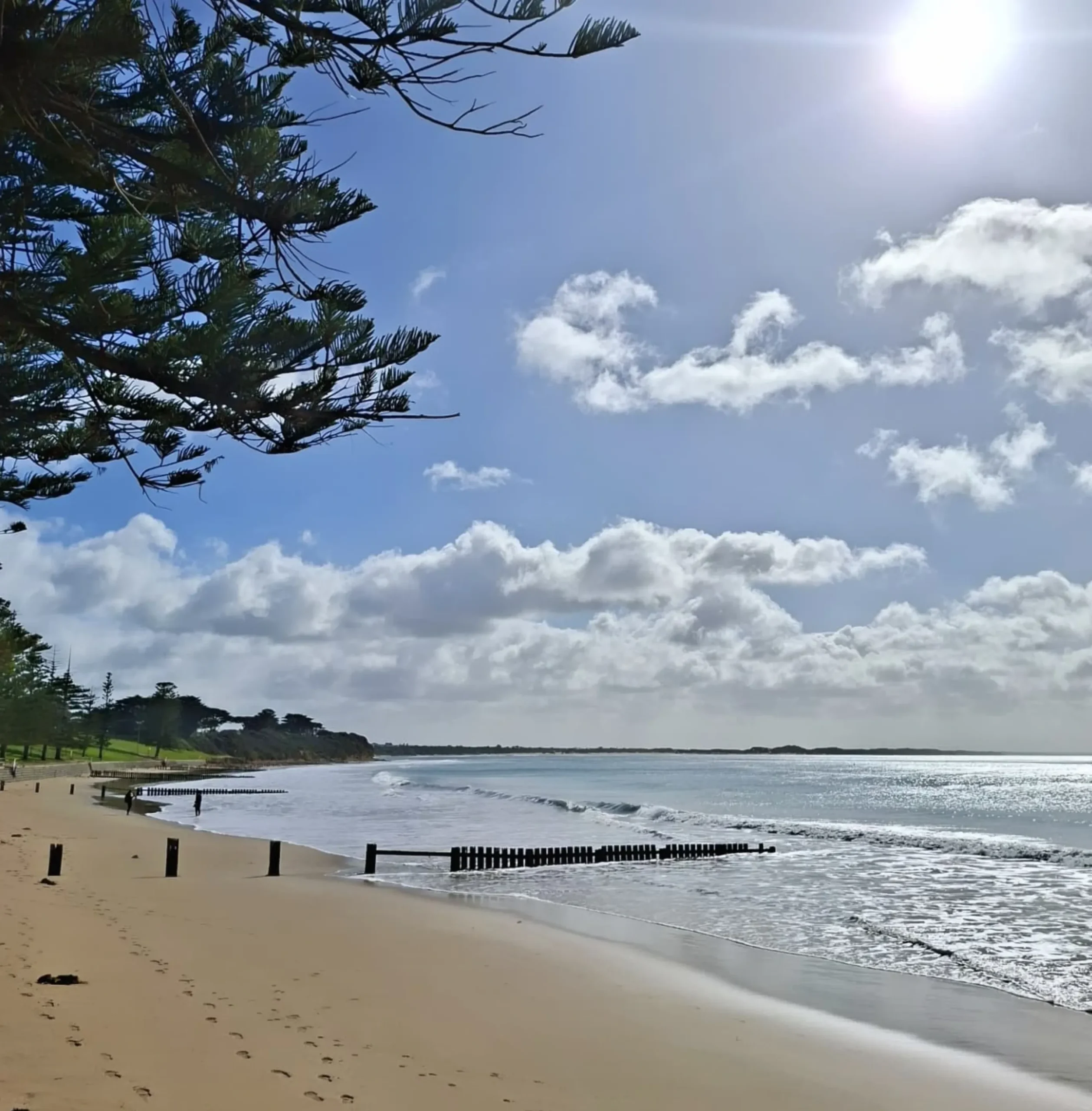 Great Ocean Road family road trip