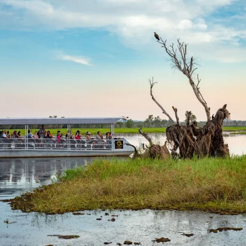 darwin to kakadu day trip