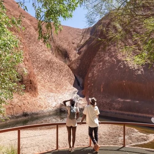 alice springs to uluru tours