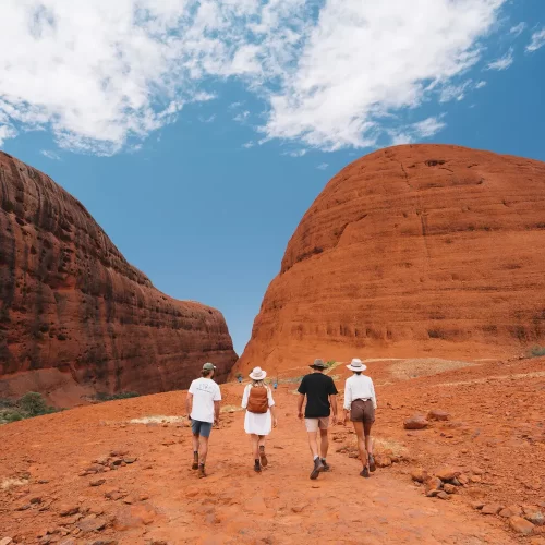 ayers rock tours from alice springs