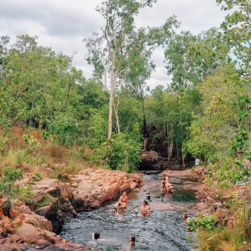 darwin litchfield tours