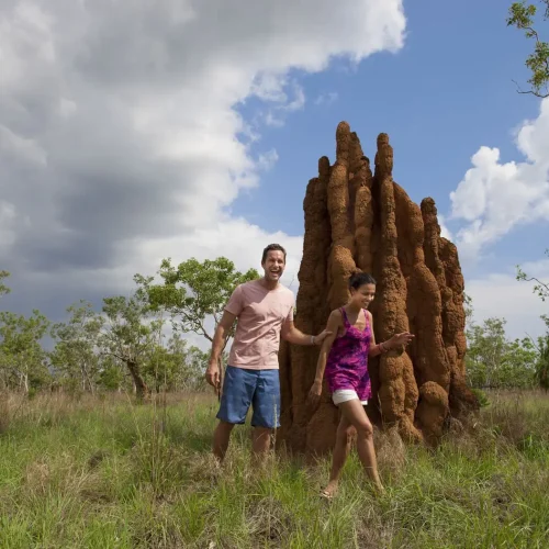 day trips around darwin