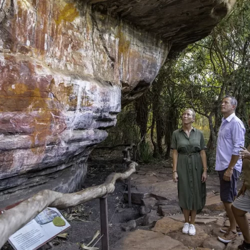 day trips from darwin to kakadu