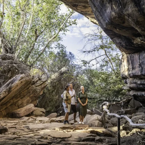 day trips in darwin