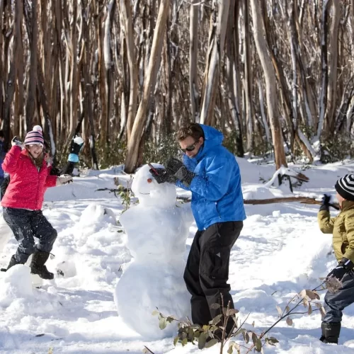 day trips to the snow