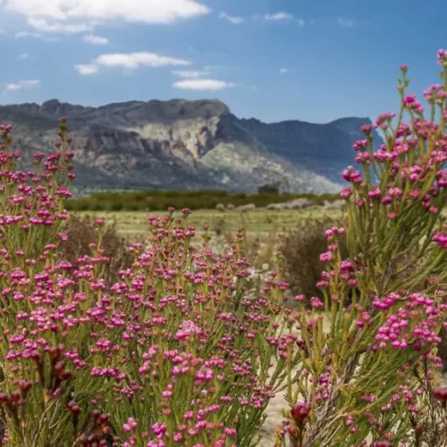 grampians 1 day tour