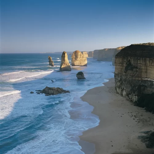 great ocean road b tours
