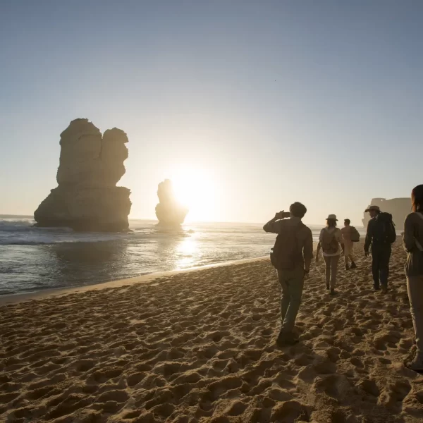 great ocean road tour cheapest