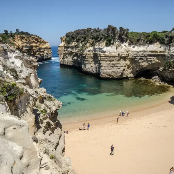 great ocean road tour cheapest