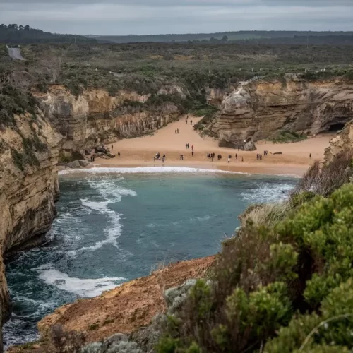 great ocean road tours reviews