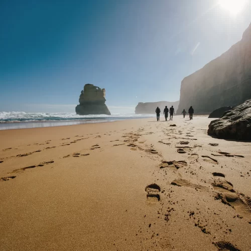 great ocean road walking tours