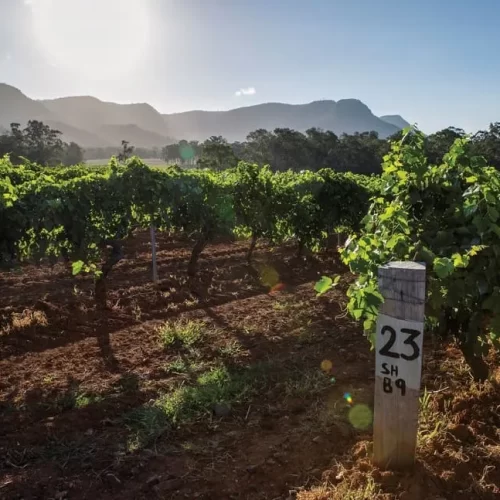 hunter wine tours