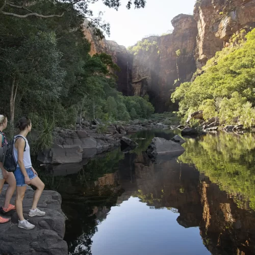 kakadu tours from darwin 1 day
