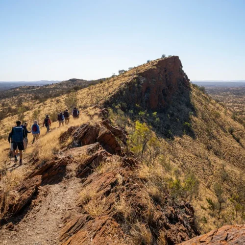larapinta trail