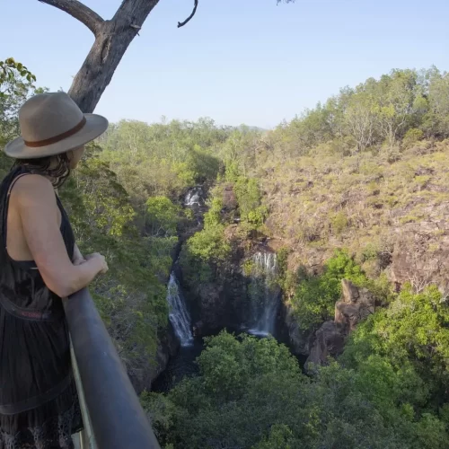 litchfield day tours from darwin