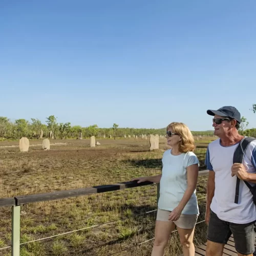 litchfield national park day trip