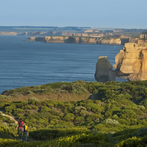 otway discovery great ocean road tours