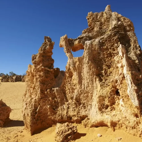 pinnacles tour perth
