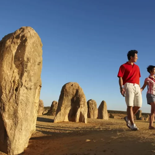 australian pinnacle tours