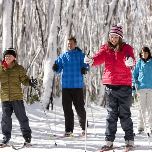 snow tours melbourne