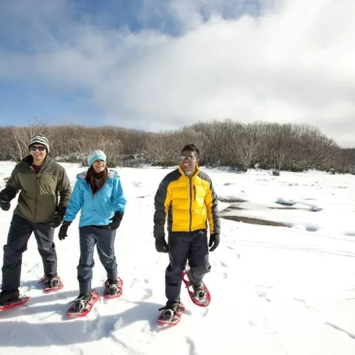 snow tours