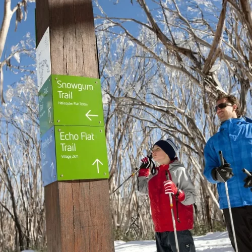 snowy mountain tour package