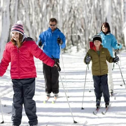 snowy mountains tours from sydney