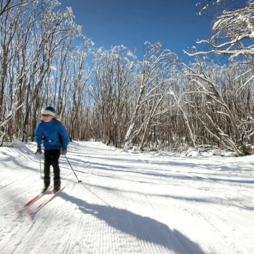 sydney to snowy mountains tours