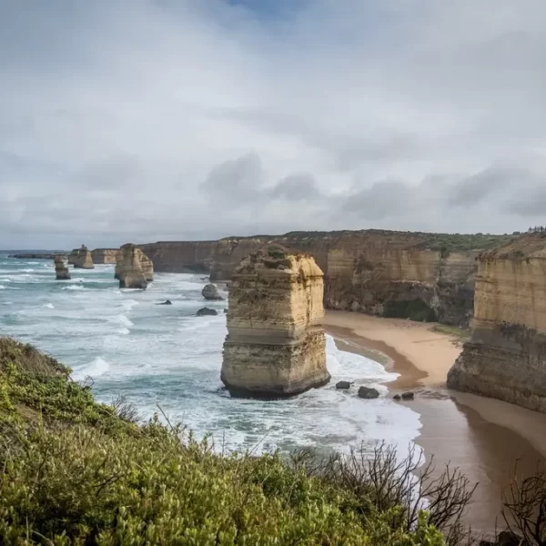 tours great ocean road