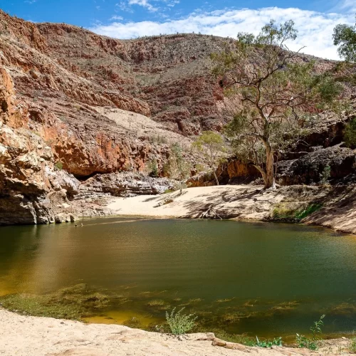 west macdonnell ranges day tour