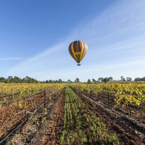 wine tasting tour hunter valley