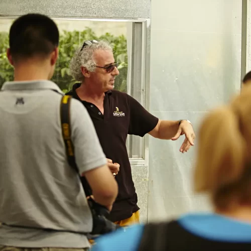 wine tour melbourne
