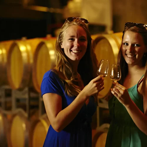 yarra valley winery tours from melbourne